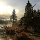 Herbst am Königssee