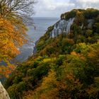 Herbst am Königsstuhl