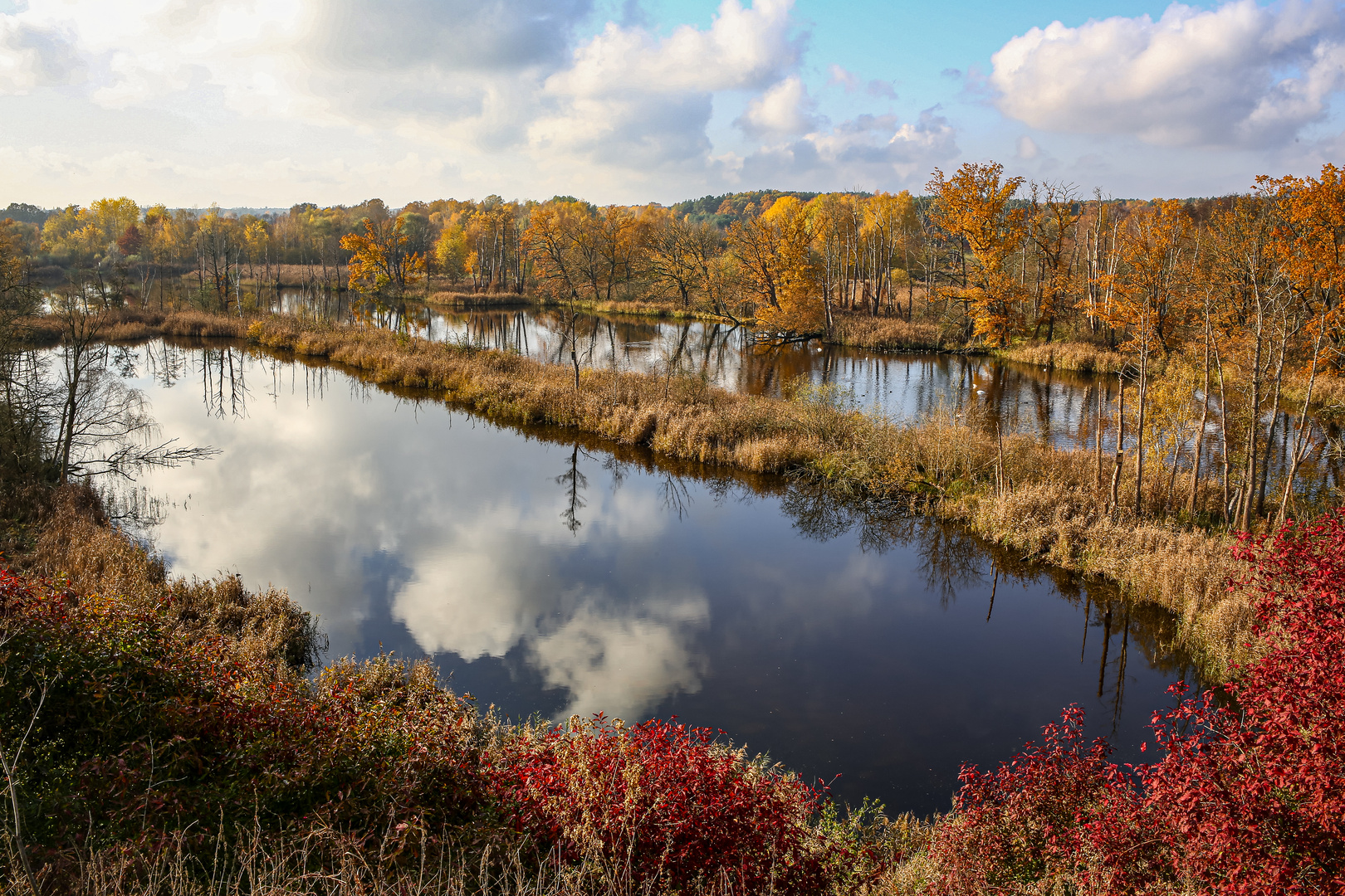 Herbst am Köppchensee