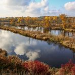 Herbst am Köppchensee