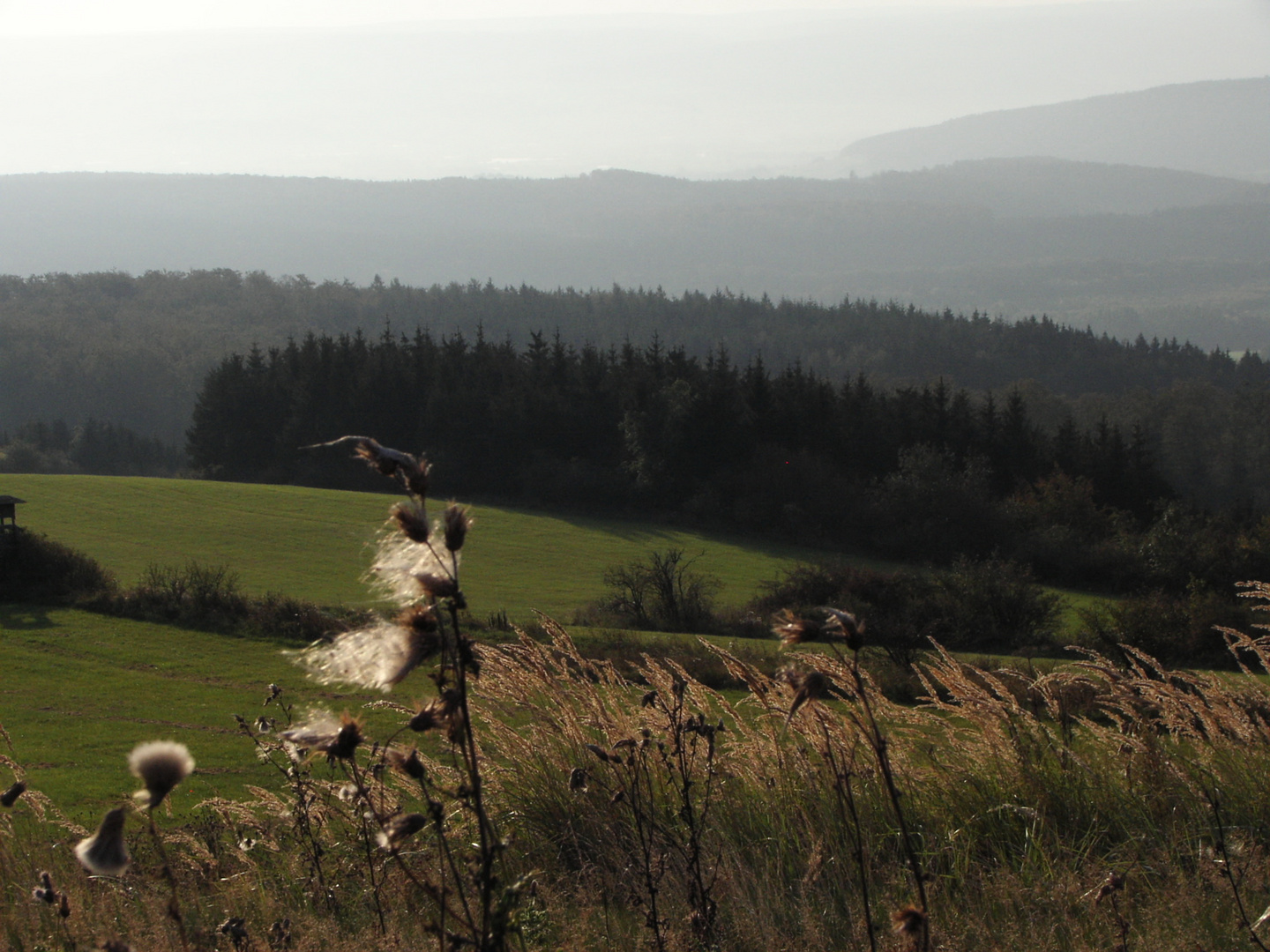 Herbst am Köterberg