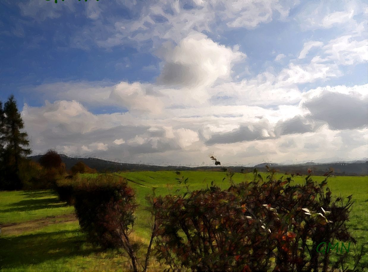 Herbst am Kottmar