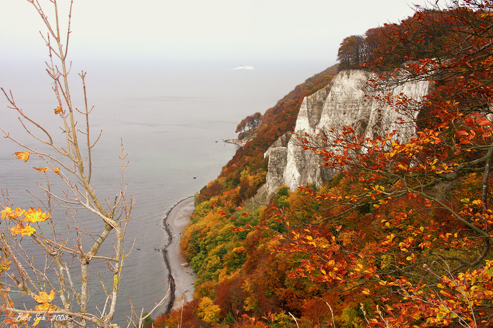 Herbst am Kreidefelsen