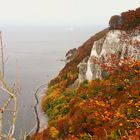 Herbst am Kreidefelsen