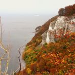 Herbst am Kreidefelsen