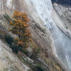 Herbst am Kreidefelsen