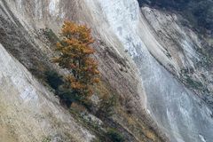 Herbst am Kreidefelsen