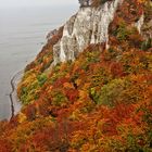 Herbst am Kreidefelsen