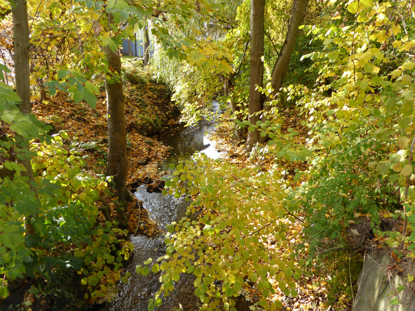 Herbst am Kreuzbach