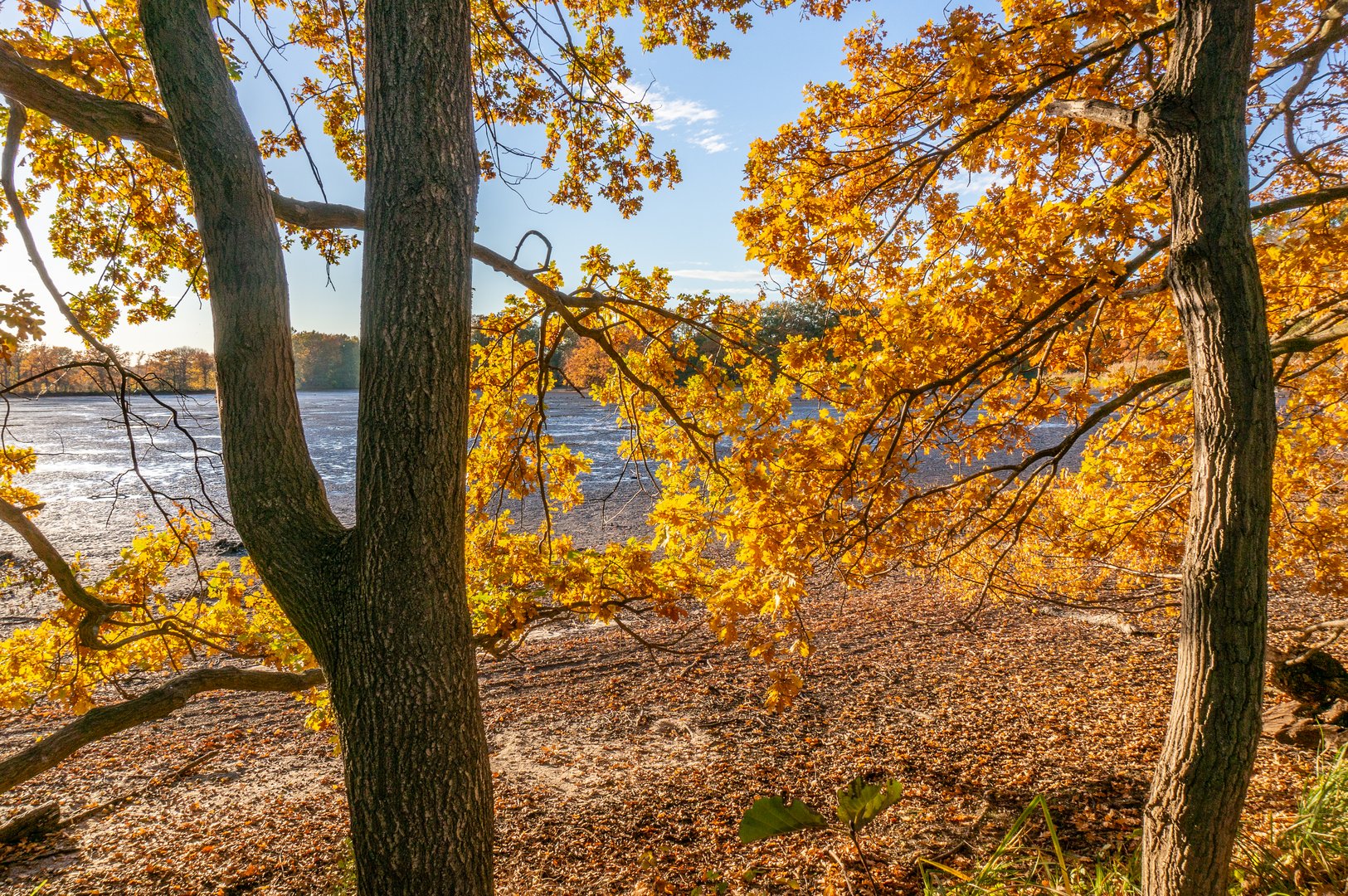 Herbst am Kreuzteich - Braunschweig