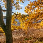 Herbst am Kreuzteich - Braunschweig