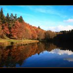 Herbst am Kuhschwanzweiher