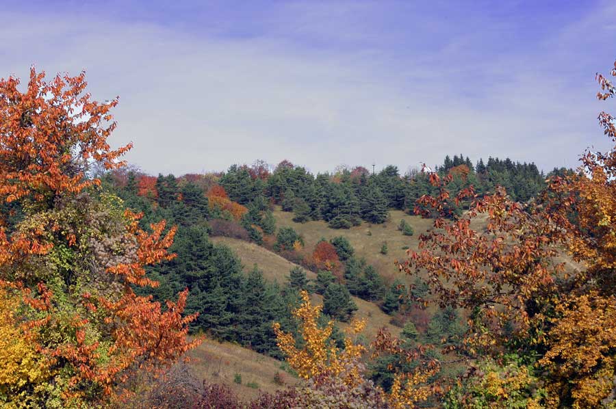 Herbst am Kui bei Oberalba