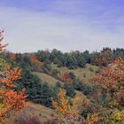 Herbst am Kui bei Oberalba