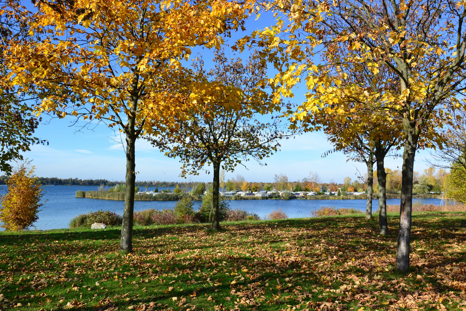 Herbst am "Kulki", wie er liebevoll von den Grünauern  genannt wird…