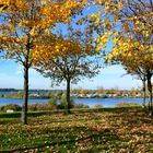 Herbst am "Kulki", wie er liebevoll von den Grünauern  genannt wird…