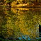 Herbst am Kunoweiher