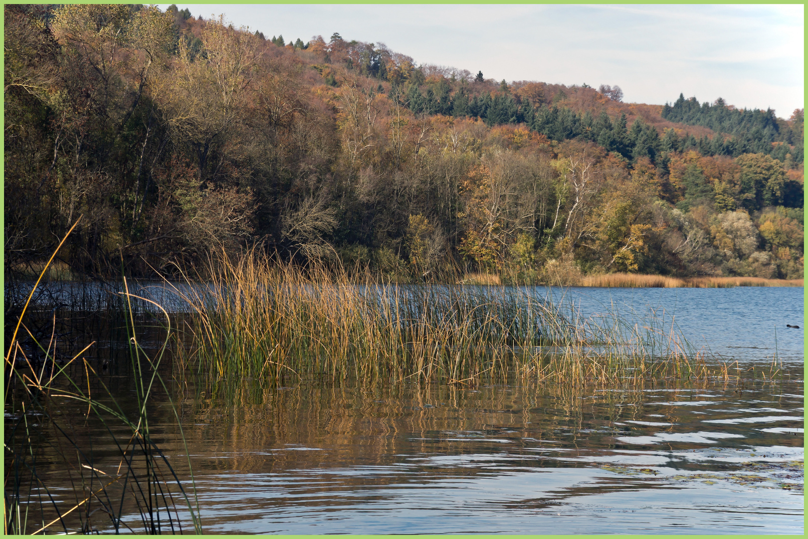 Herbst am Laacher See