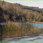 Herbst am Laacher See