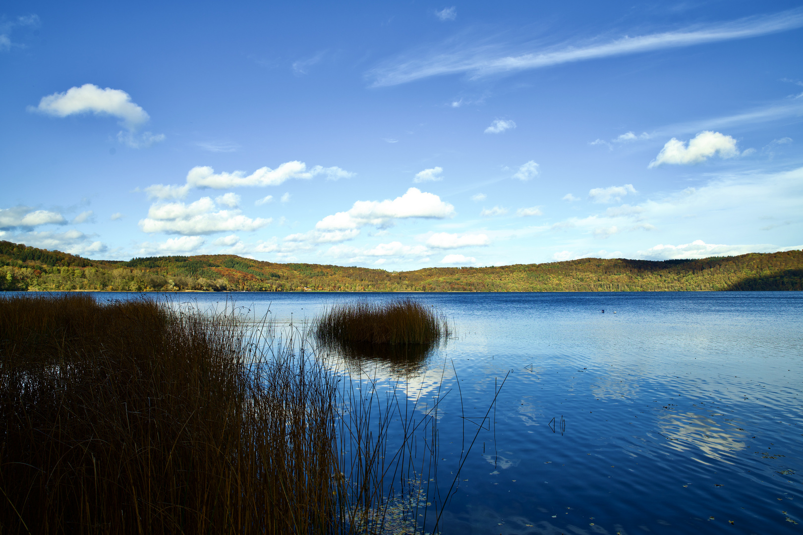 Herbst am Laacher See 