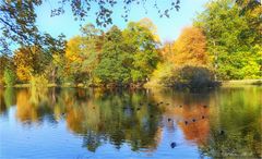 Herbst am Lac im Bergpark  Wilhelmshöhe