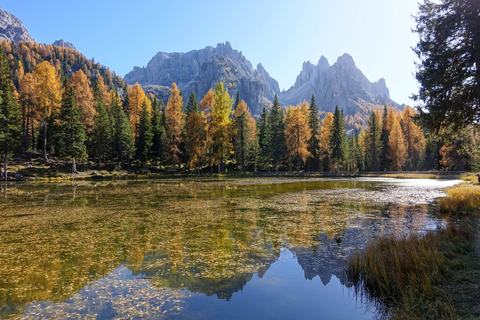 Herbst am Lago d´Antorno