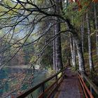 Herbst am Lago di fusine