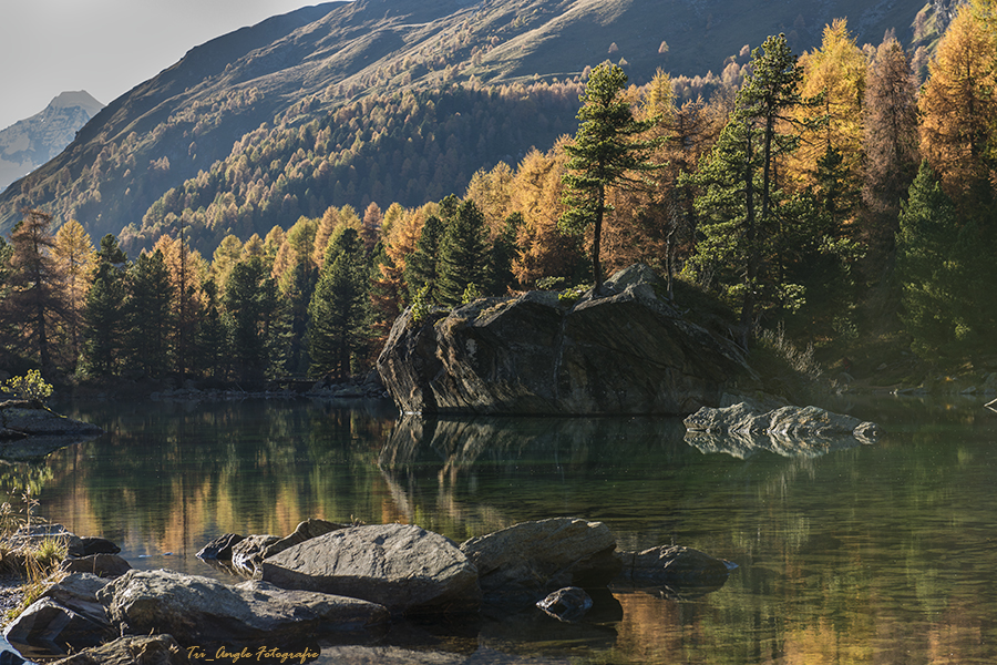 Herbst am Lago di Saoseo