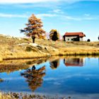 Herbst am Lago Nero