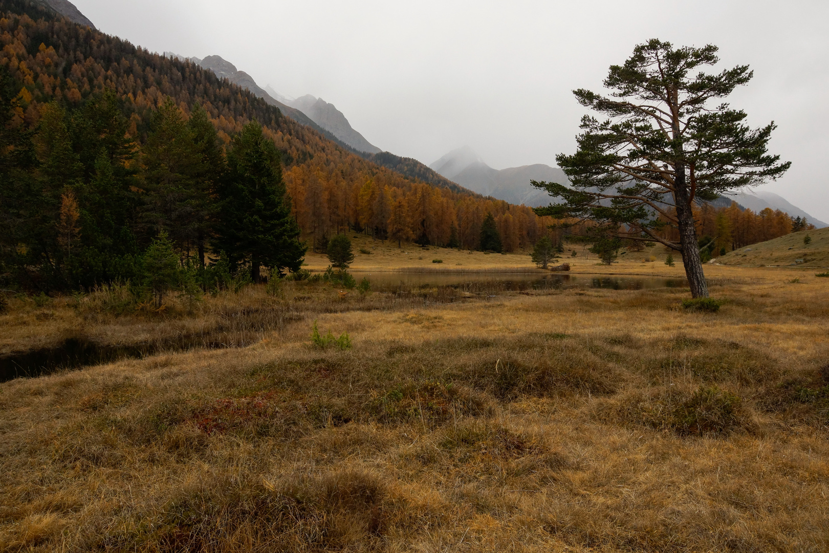 Herbst am Lai Nair 1 - Unterengadin