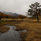 Herbst am Lai Nair 2 - Unterengadin