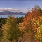 Herbst am Lake Pukaki