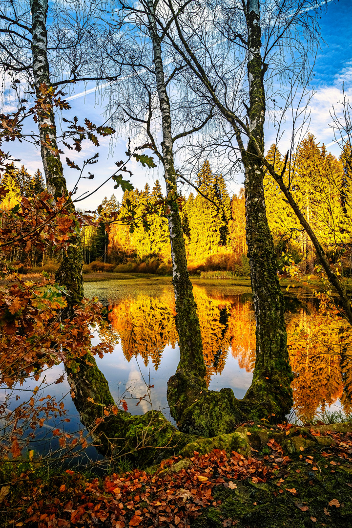 Herbst am Lakenteich