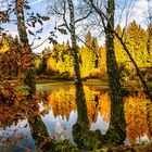 Herbst am Lakenteich