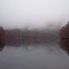 herbst am langbathsee /oberösterreich