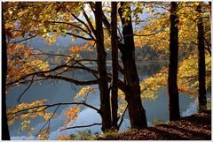 Herbst am Langbathsee(1)