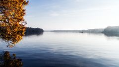 HERBST AM LANGEN SEE IN BERLIN