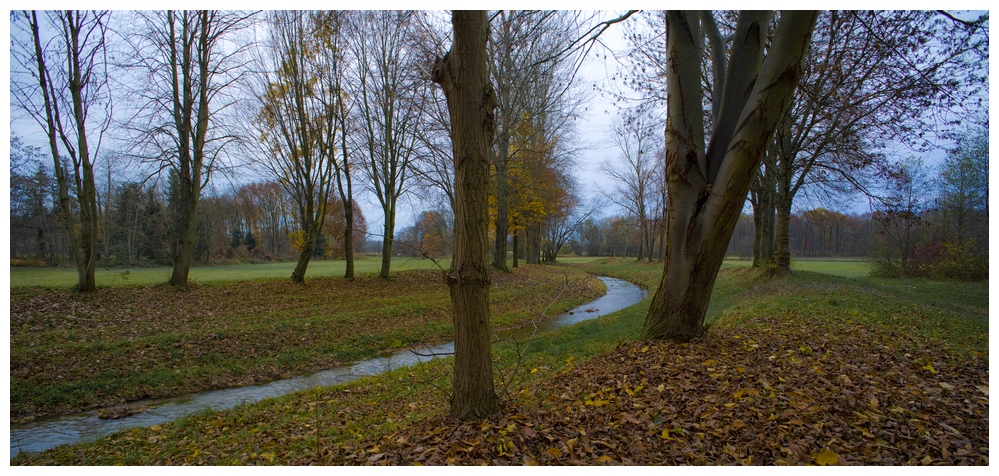 Herbst am Laufbach