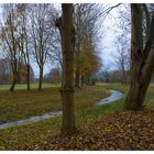 Herbst am Laufbach