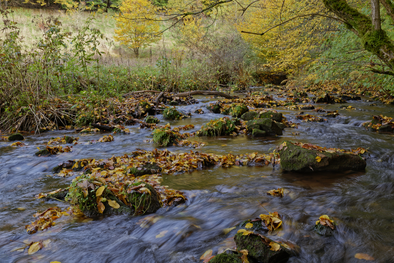 Herbst am Lautenbach (2)