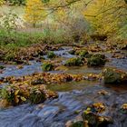 Herbst am Lautenbach (2)