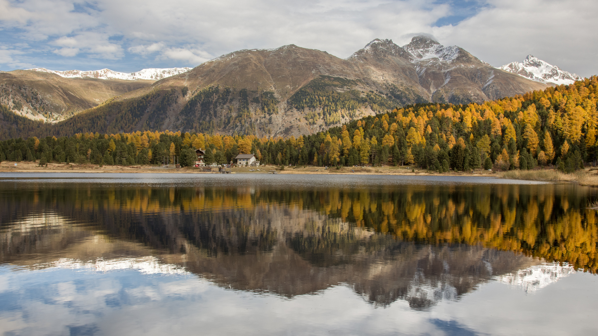 Herbst am Lej da Staz...