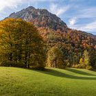 Herbst am Leopoldsteiner See 1