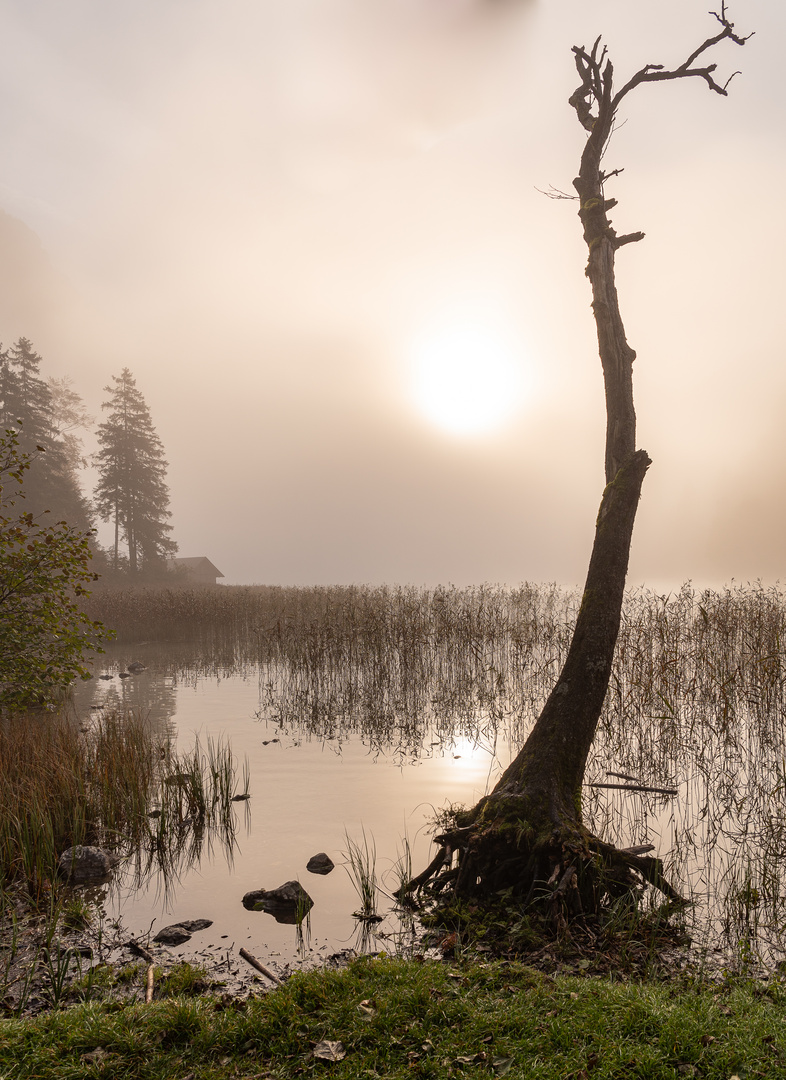 Herbst am Leopoldsteiner See