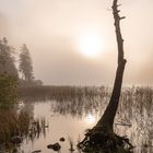 Herbst am Leopoldsteiner See