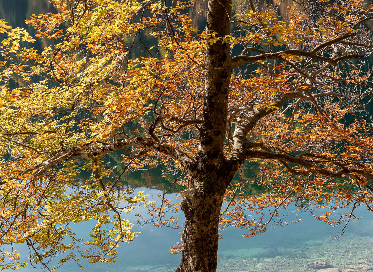 Herbst am Leopoldsteiner See 3