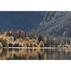 Herbst am Leopoldsteinersee 