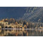 Herbst am Leopoldsteinersee 