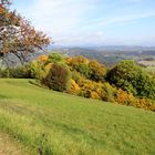 Herbst am Lieneck im Oktober 