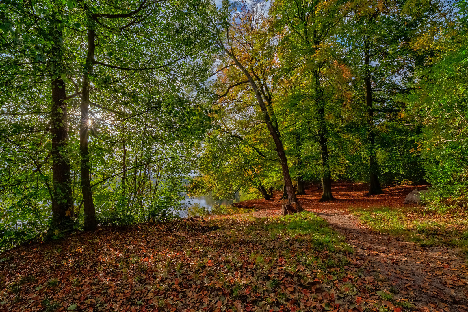 Herbst am Liepnitzsee